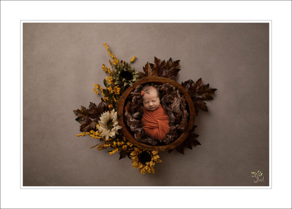Best Lakewood newborn photographer