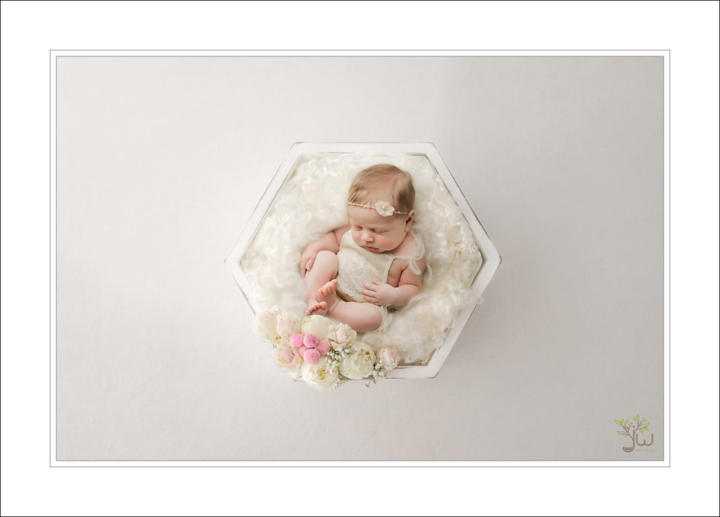Puyallup baby photographer