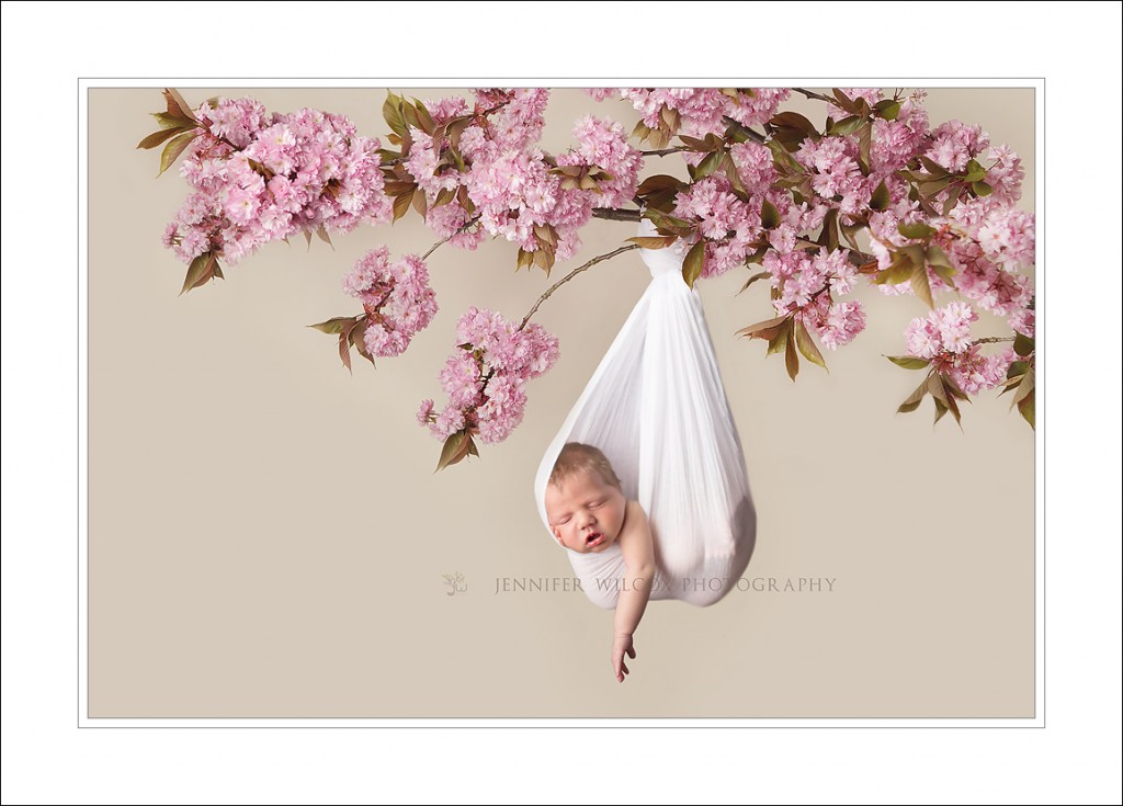Puyallup Newborn Photographer_Jennifer Wilcox Photography_Hanging Branch Baby