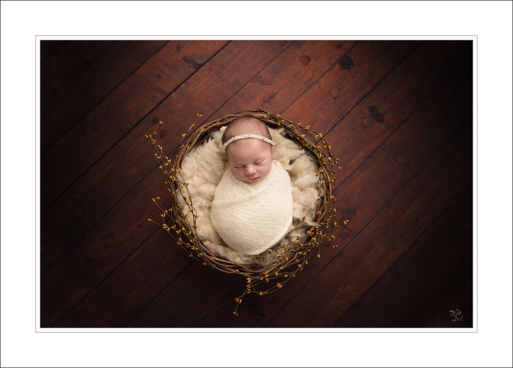 Everett Newborn Photographer_Jennifer Wilcox Photography_Fall baby