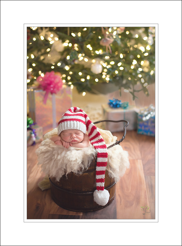 Lacey Newborn Photographer_Jennifer Wilcox Photography_Christmas Baby