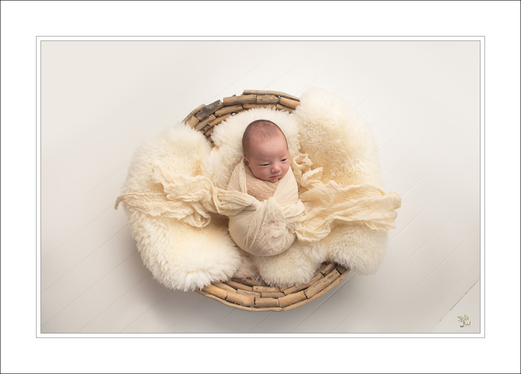 Puyallup Newborn Photographer_Jennifer Wilcox Photography_baby portriats