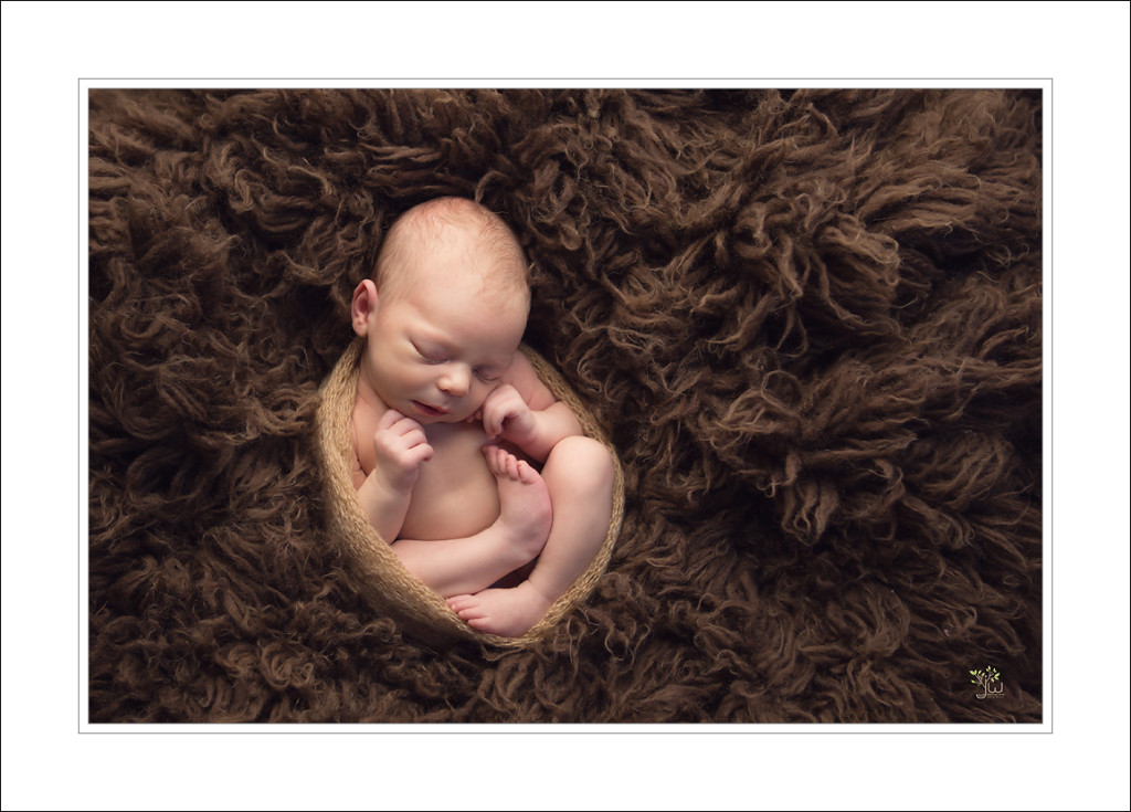 Seattle Newborn Photographer_Jennifer Wilcox Photography_Baby in womb pose
