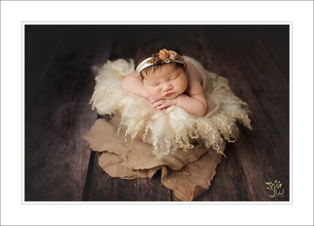Tacoma newborn photographer