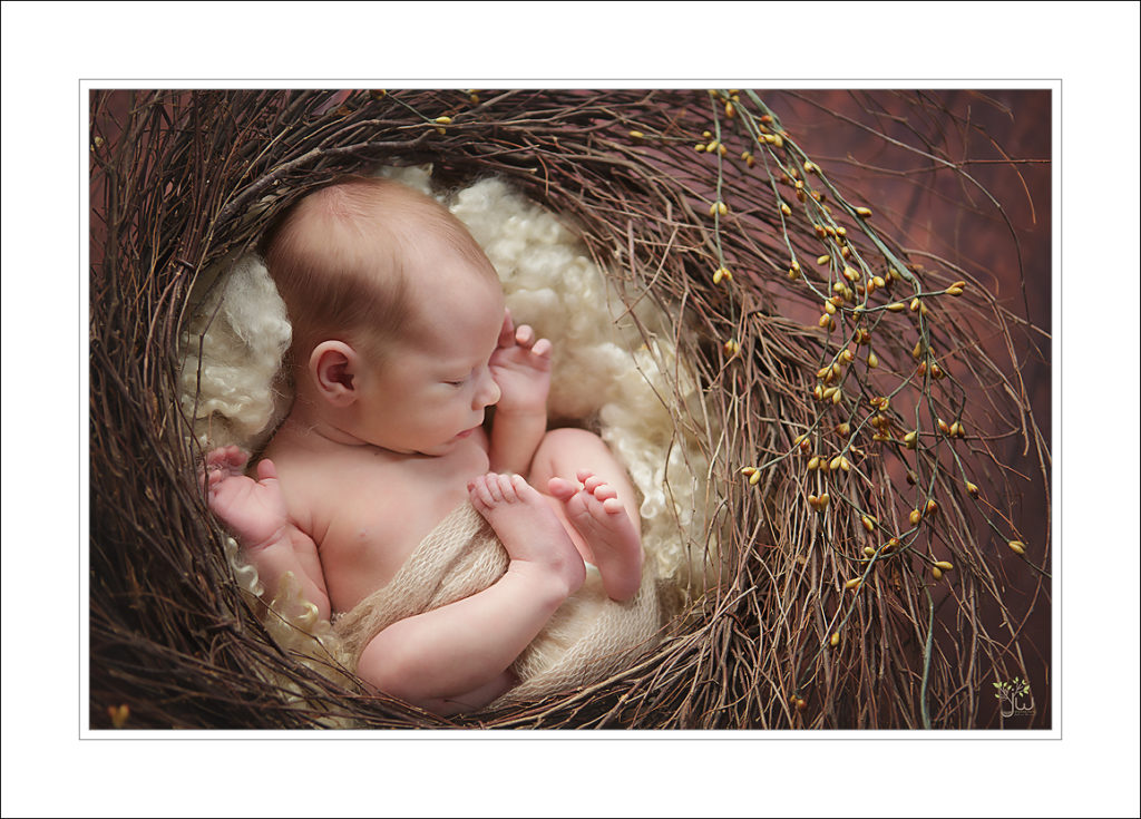 baby in a nest