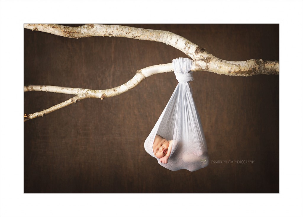 hanging baby tree branch 