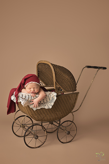 Best Tacoma baby photography